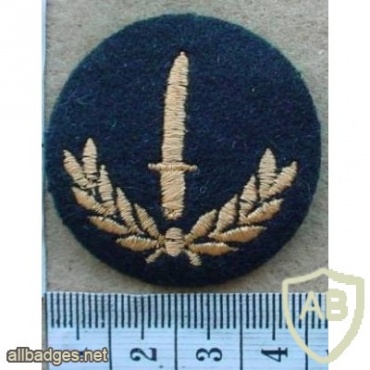 Canadian Army Infantry level- 2 img10251