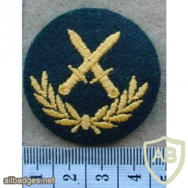 Canadian Army Recce Patrol level 2 img10254