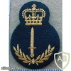 Canadian Army Infantry level 4 img10267