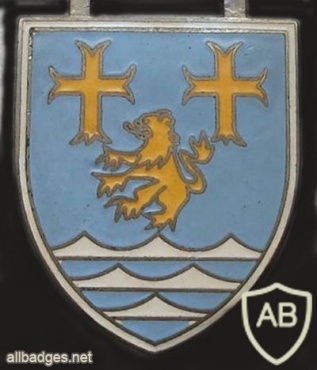  311th Armored Grenadiers Battalion badge img10290