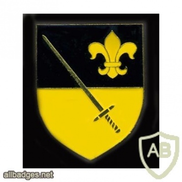  303rd Armored Grenadiers Battalion badge img10287
