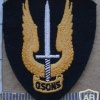 CANADA Army Special Service Force Brigade sleeve patch img10384