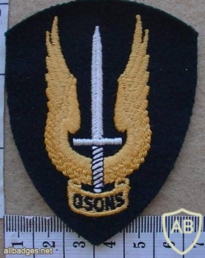 CANADA Army Special Service Force Brigade sleeve patch img10384