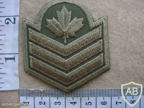 Canadian Sergeant rank badge, combat dress img10371