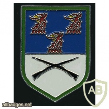 411th Armored Grenadiers Battalion img10337