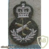 Canadian Army Chef trade badge, level 4 img10378
