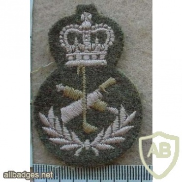 Canadian Army Chef trade badge, level 4 img10378