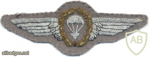 WEST GERMANY Airborne Parachutist wings, 3rd Class, bullion, 1966-1983 img10357