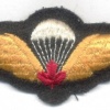 CANADA Army Parachute Jump wings, dark green wool, padded img10355