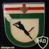  342nd Armored Grenadiers Battalion badge img10307