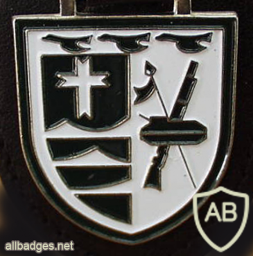  323rd Armored Grenadiers Battalion badge img10295