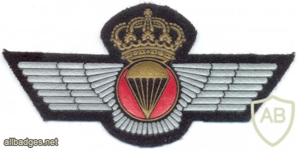 SPAIN Army Airborne Parachute wings, pre-1977, black wool img10356