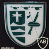  323rd Armored Grenadiers Battalion badge
