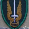 CANADA Army Special Service Force Brigade sleeve patch, combat dress
