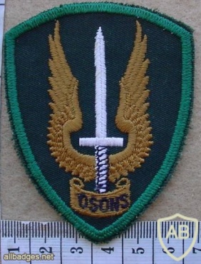 CANADA Army Special Service Force Brigade sleeve patch, combat dress img10383