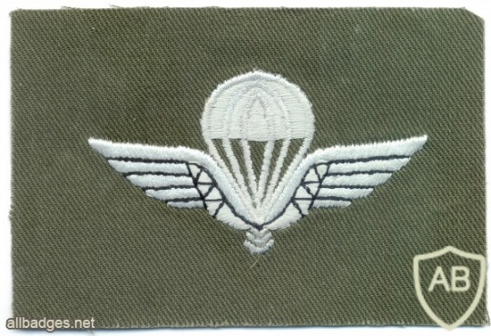 NORWAY Army Parachutist wings, cloth, on olive green, obsolete img10359