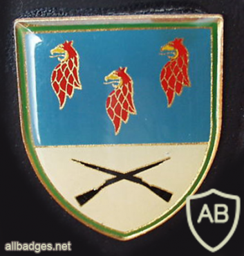 411th Armored Grenadiers Battalion img10333