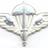 BELGIUM Para-Commando Parachutist beret badge, silver