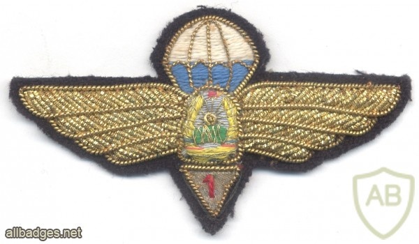 ROMANIA (Socialist Republic of) Air Force Parachutist wings, 1st Class, 1965-1977, bullion, FAKE img10402