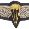 BAHRAIN Airborne Parachute jump wings, bullion, silver