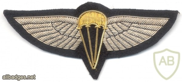BAHRAIN Airborne Parachute jump wings, bullion, silver img10403