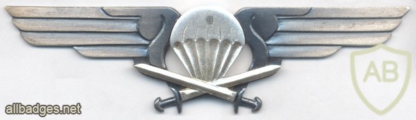 FINLAND Parachutist qualification jump wings, 2nd Class img10408