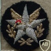 Chilean Air Force beret badge