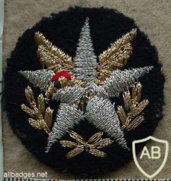 Chilean Air Force beret badge img10392