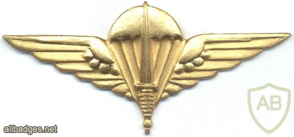 BELGIUM Para-Commando Parachutist beret badge, gold img10397