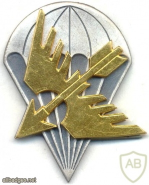 FINLAND Parachutist beret badge img10412