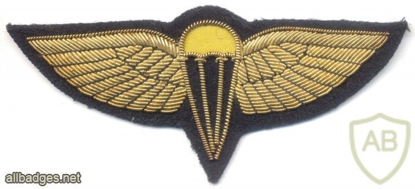 BAHRAIN Airborne Parachute jump wings, bullion, gold img10404