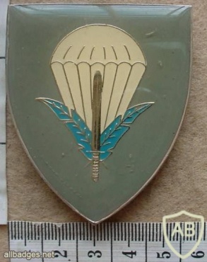 CISKEI Ikhele we Sizwe (Sword of Nation) Special Forces Unit parachutist arm flash, 2nd type img10459
