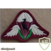 Ciskei Parachute Battalion beret badge (FAKE) img10481
