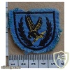Ciskei Defence Force beret badge, Officers, 1st pattern img10491