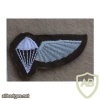 Ciskei Parachute Jump Instructor wings, Combat dress, 1st pattern img10483