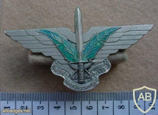 Ciskei Special Forces cap badge, Sword of the Nation img10489