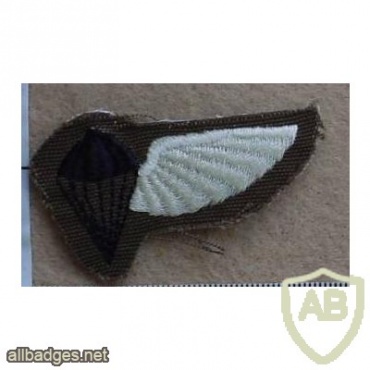 Ciskei Parachute Jump Instructor wings, Combat dress, 1st pattern, FAKE img10484