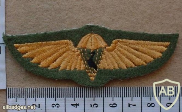 Ciskei Paratchute wings, FAKE, Dress uniform img10463