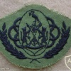 Ciskei Army Warrant Officer Class I, combat dress
