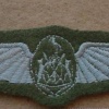 Ciskei Pilot wings, 1st pattern, Dress uniform