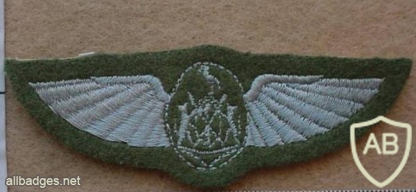 Ciskei Pilot wings, 1st pattern, Dress uniform img10486