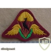 Ciskei Parachute Battalion beret badge (FAKE)1