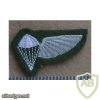 Ciskei Parachute Jump Instructor wings, Dress uniform, 1st pattern