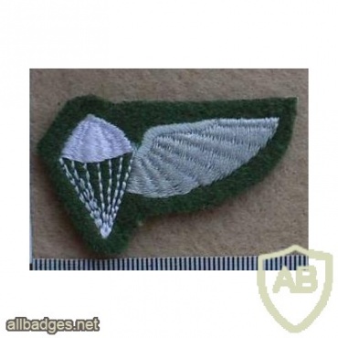 Ciskei Parachute Jump Instructor wings, Dress uniform, 1st pattern img10482