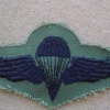 EGYPT Parachutist wings, 4th Class, combat dress