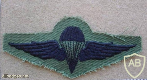 EGYPT Parachutist wings, 4th Class, combat dress img10533
