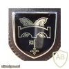 3rd Engineers Battalion badge, type 2