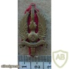 Danish Jutland Anti Aircraft Regiment cap badge img10612