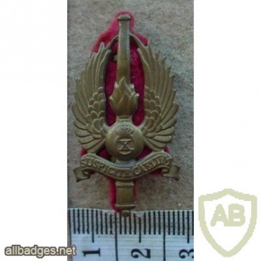 Danish Jutland Anti Aircraft Regiment cap badge img10612