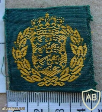 Denmark Army beret badge 3 img10619